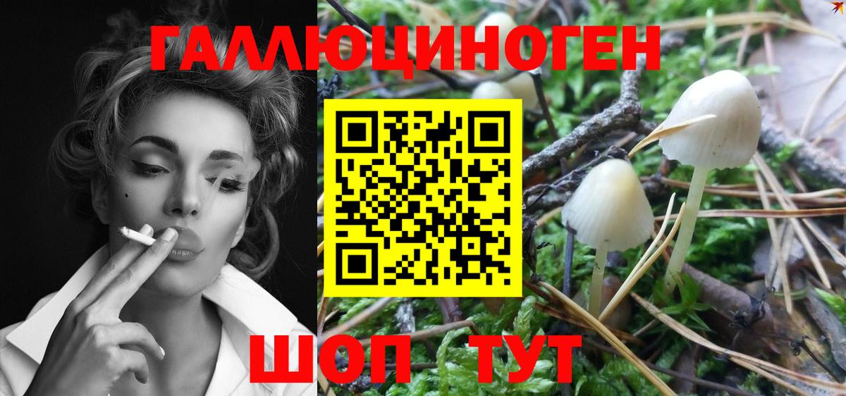 Галлюциногенные грибы мицелий Фролово